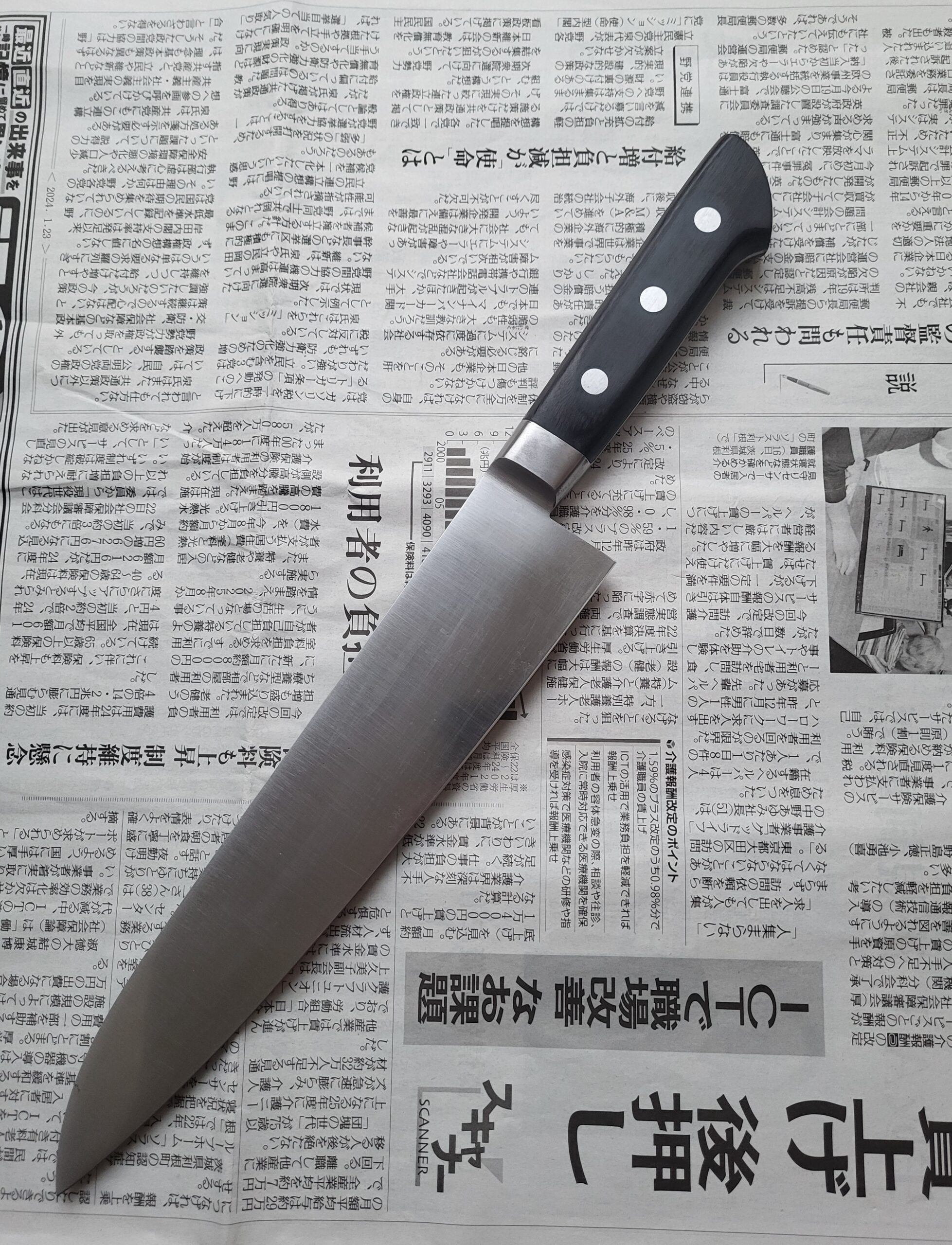 Sakai Kikumori Vanadium Gyuto 240 mm - Image 2