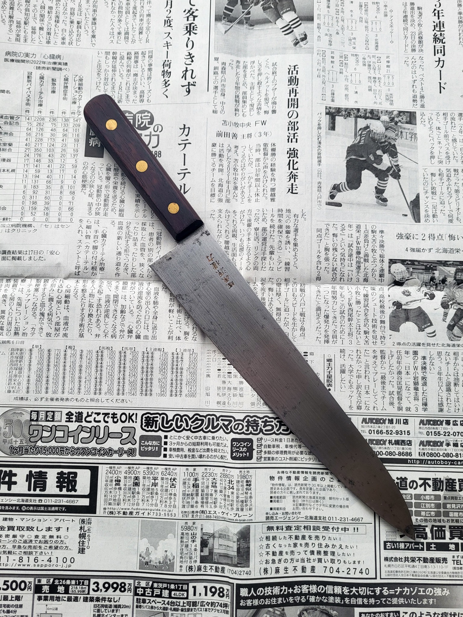 Minamoto Kenryoku Bessaku Gyuto 240 mm